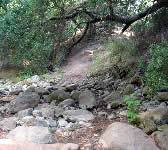 SAC006 Stream crossing
