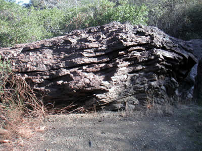 Image Number Four