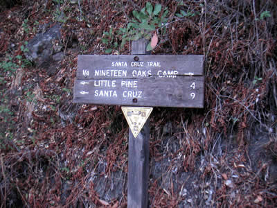 Image Number Five