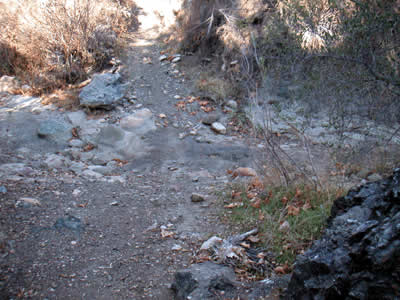 Image Number Seven