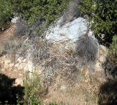 SCZ012 Seasonal stream crossing