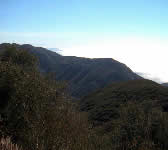 SY017 Excellent ocean views