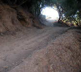SYT007 Road to Buena Vista Trail