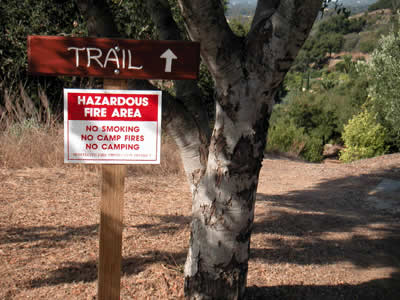 Image Number Ten