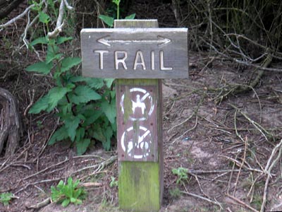 Image Number Four