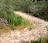 SIE005 Switchback