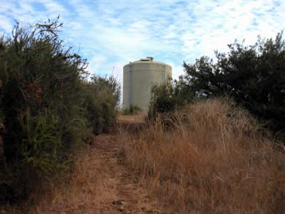 Image Number Three