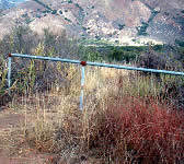 SNY004 Barrier