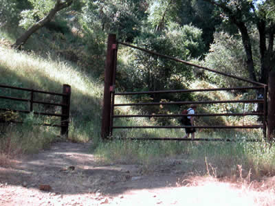 Image Number Three