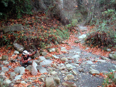 Image Number Four
