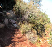 TEQ008 Sharp switchback