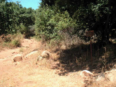 Image Number Four