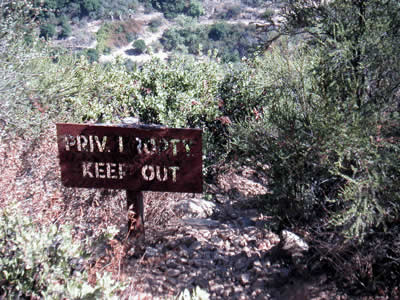 Image Number Ten