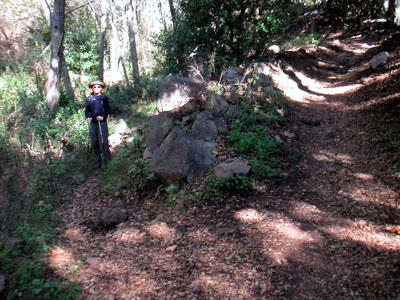 Image Number Three