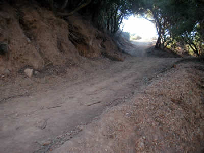 Image Number Six