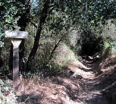 SYT008 Junction of road and trail